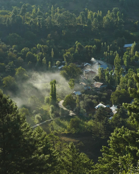 a village nestled amongst the trees covered in mist