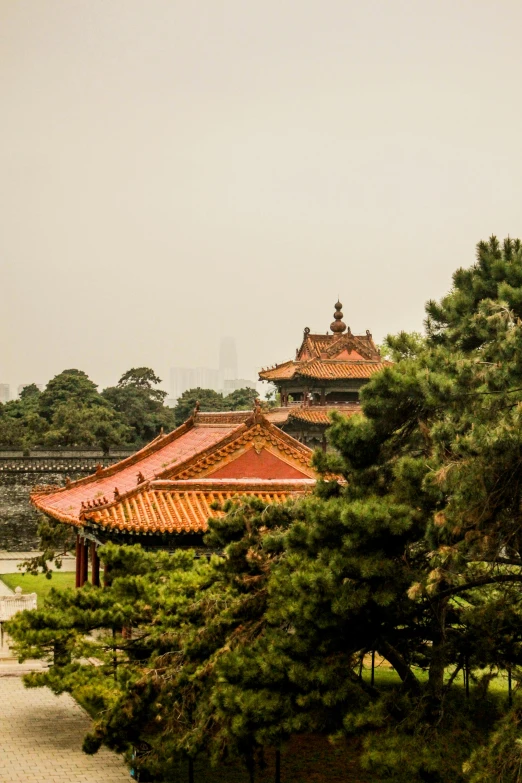 a chinese building surrounded by evergreens in the middle