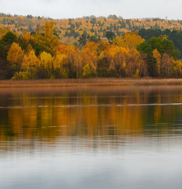 a beautiful scenery shows autumn colors, trees and still waters