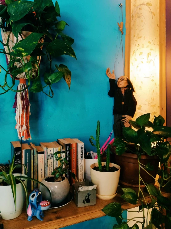 a shelf full of books and plants in front of a blue wall