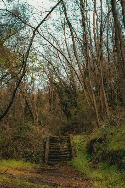 a bunch of stairs up a small path