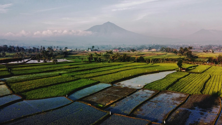 an aerial view of rice fields, surrounded by mountains and hills