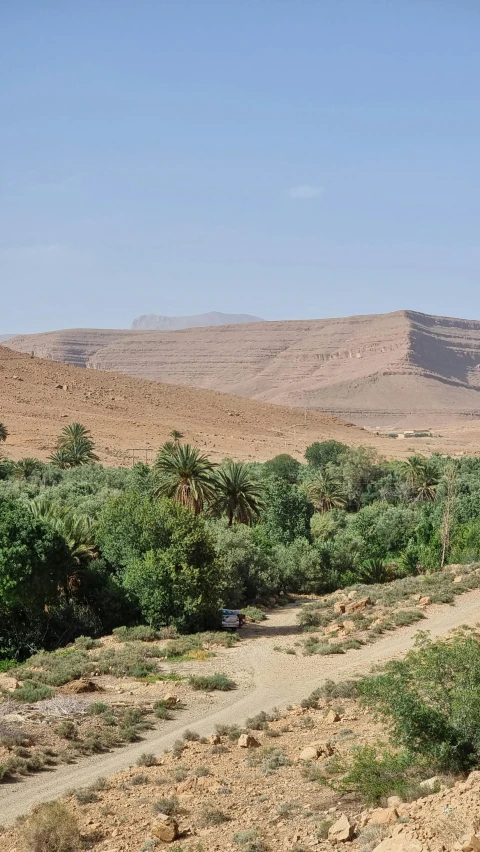 two people on horses traveling down a desert road