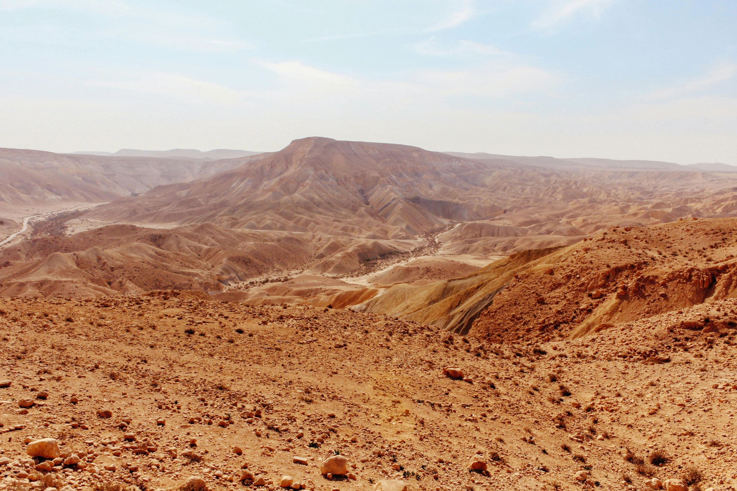 the mountains in the distance are brown and barren