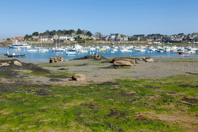 a harbor filled with lots of boats sitting on top of a green field