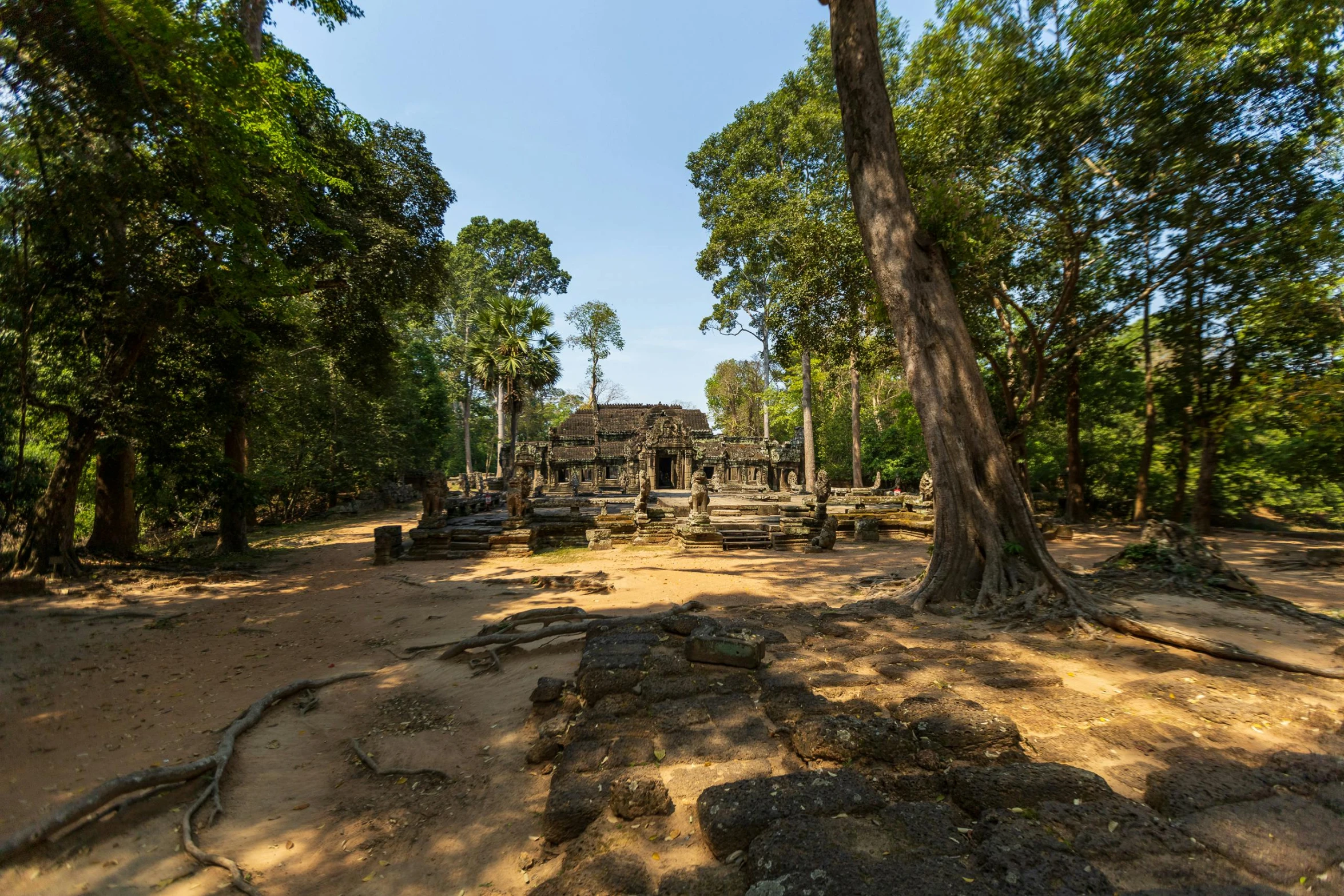 the sun is shining on some trees that are in front of the ruins