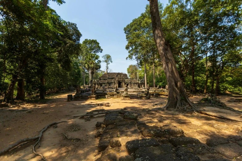 the sun is shining on some trees that are in front of the ruins