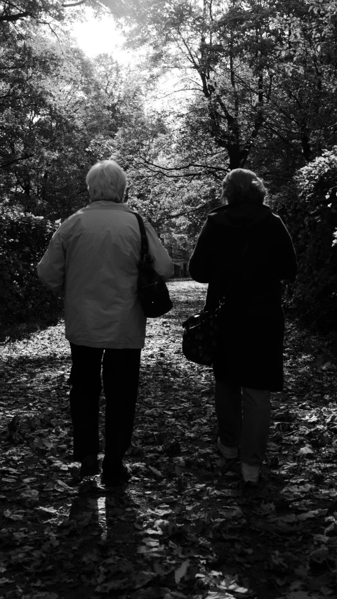 two people walking down a leaf covered path