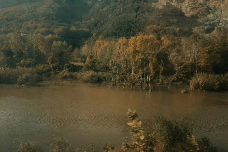 the water is brown colored and there are trees and bushes