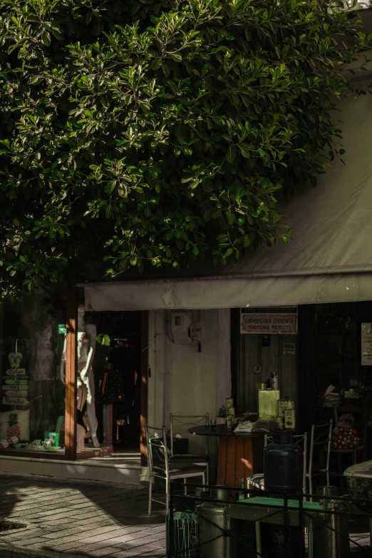 a cafe sitting under a large green tree on a city street