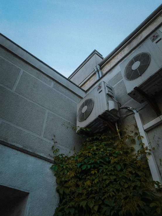 the building has clock on it with plants growing up all around