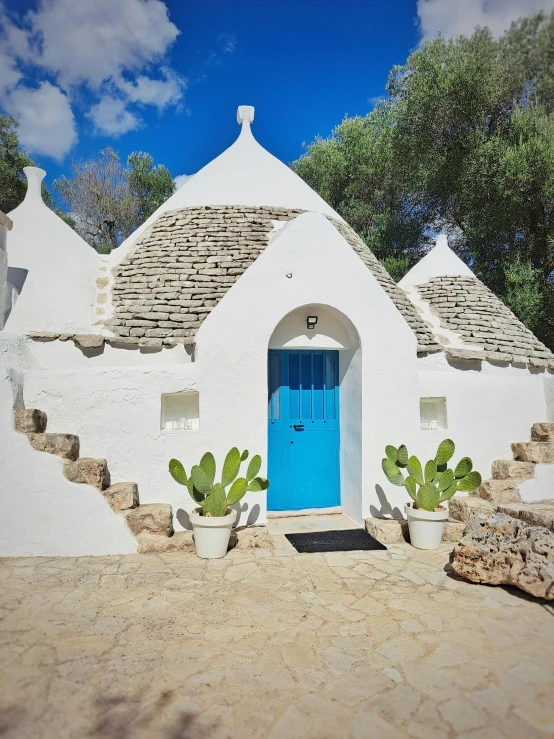 a door in a very small house with cactus bushes