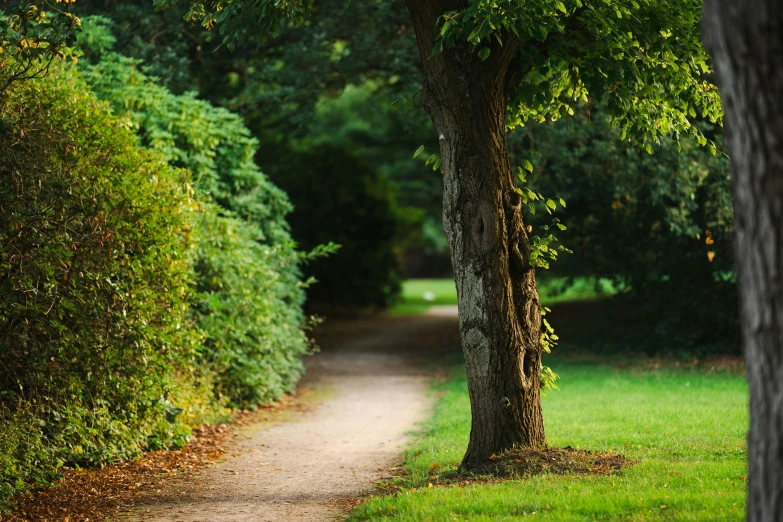 an image of a pathway that is very narrow