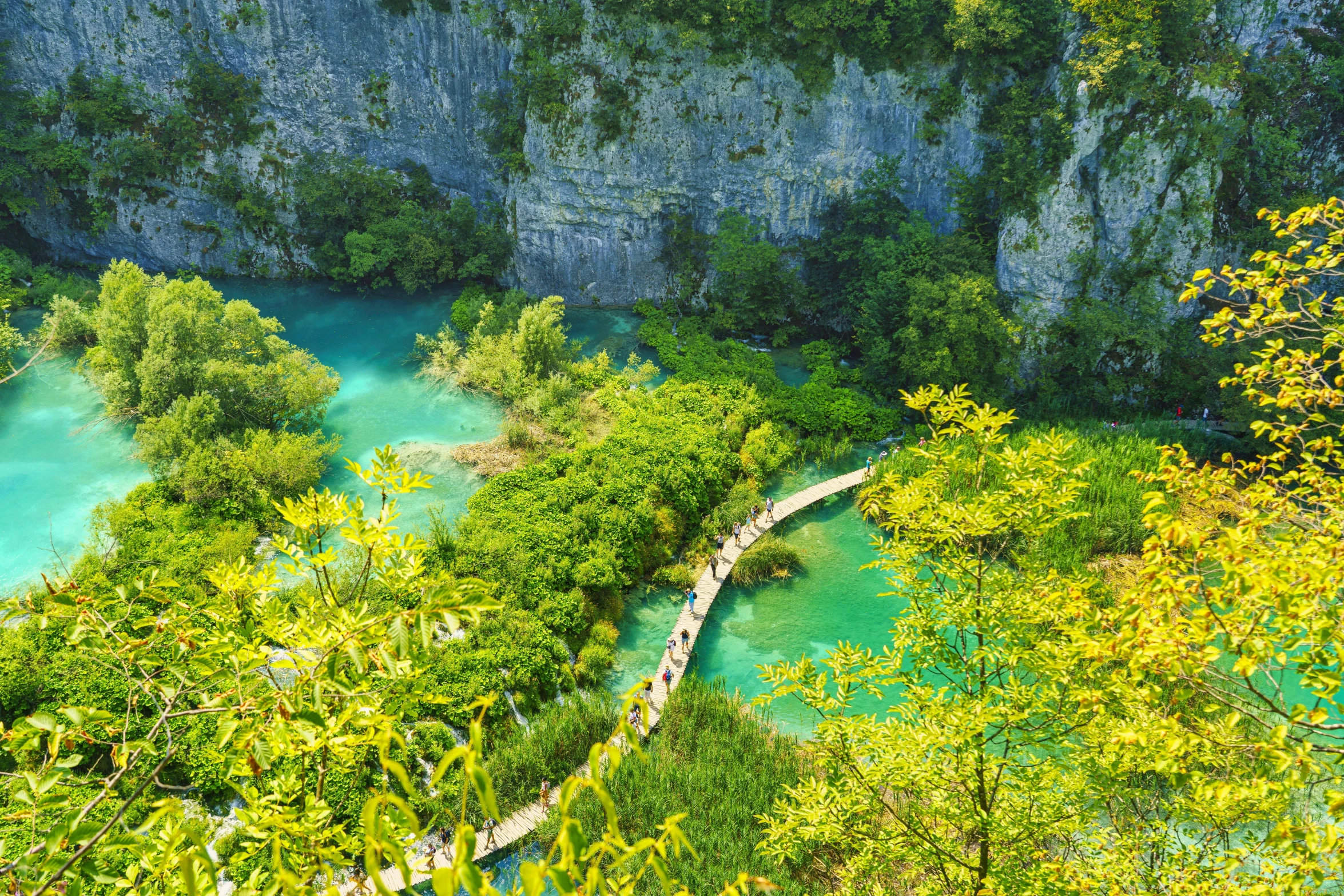 a stream that leads to the ocean and some trees