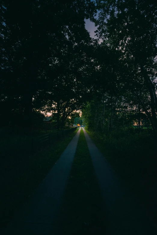 the lights on a road and trees in front of them