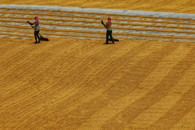 two men walking across a field with a dog