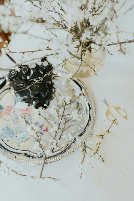 small camera sitting on a small glass platter in the snow