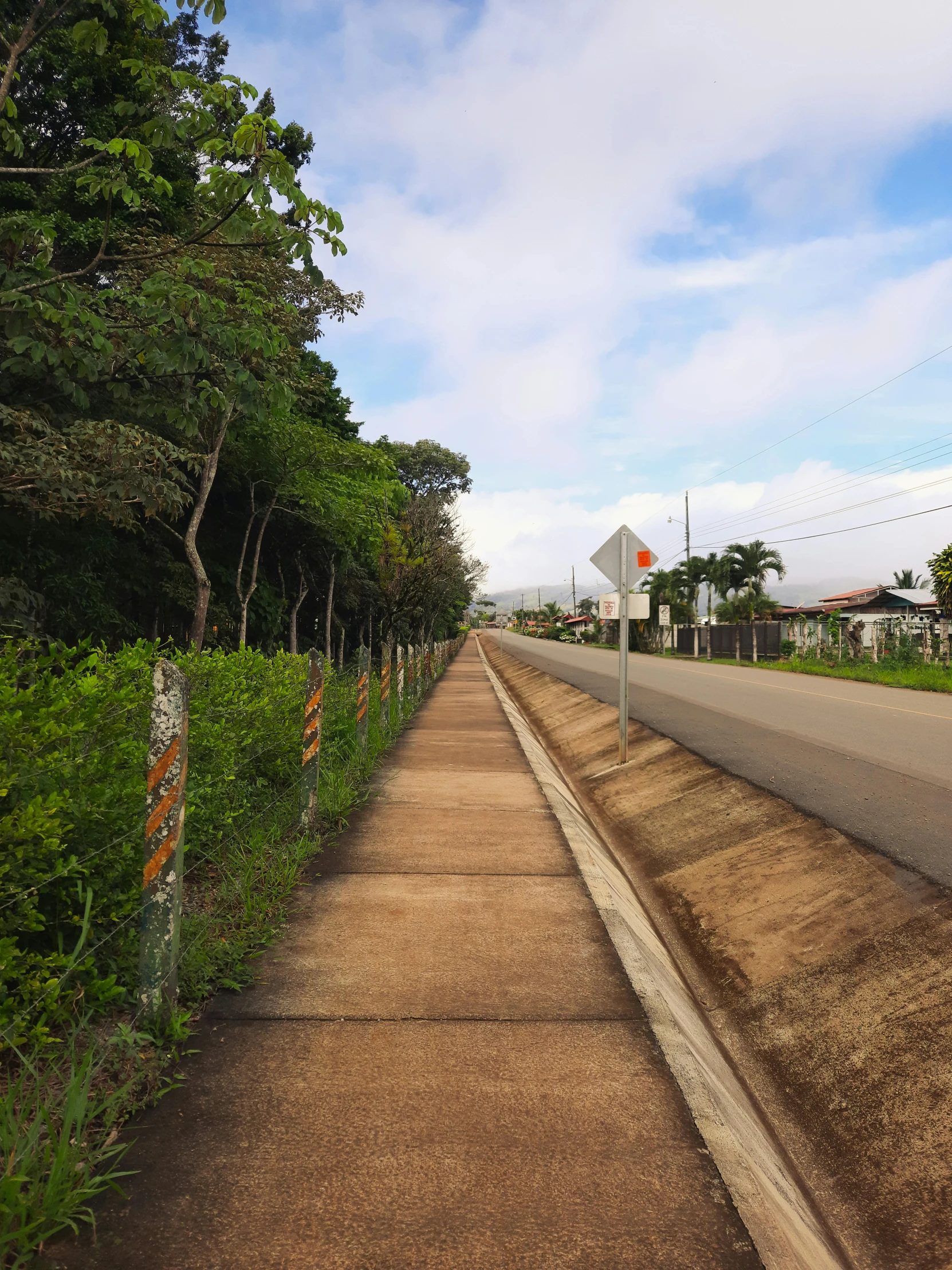 a wide view down a road near some trees