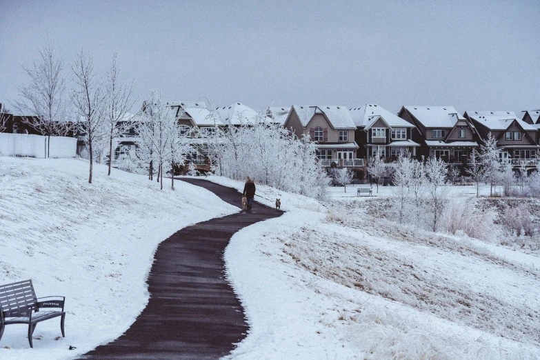 a person walking down a path next to houses in the snow