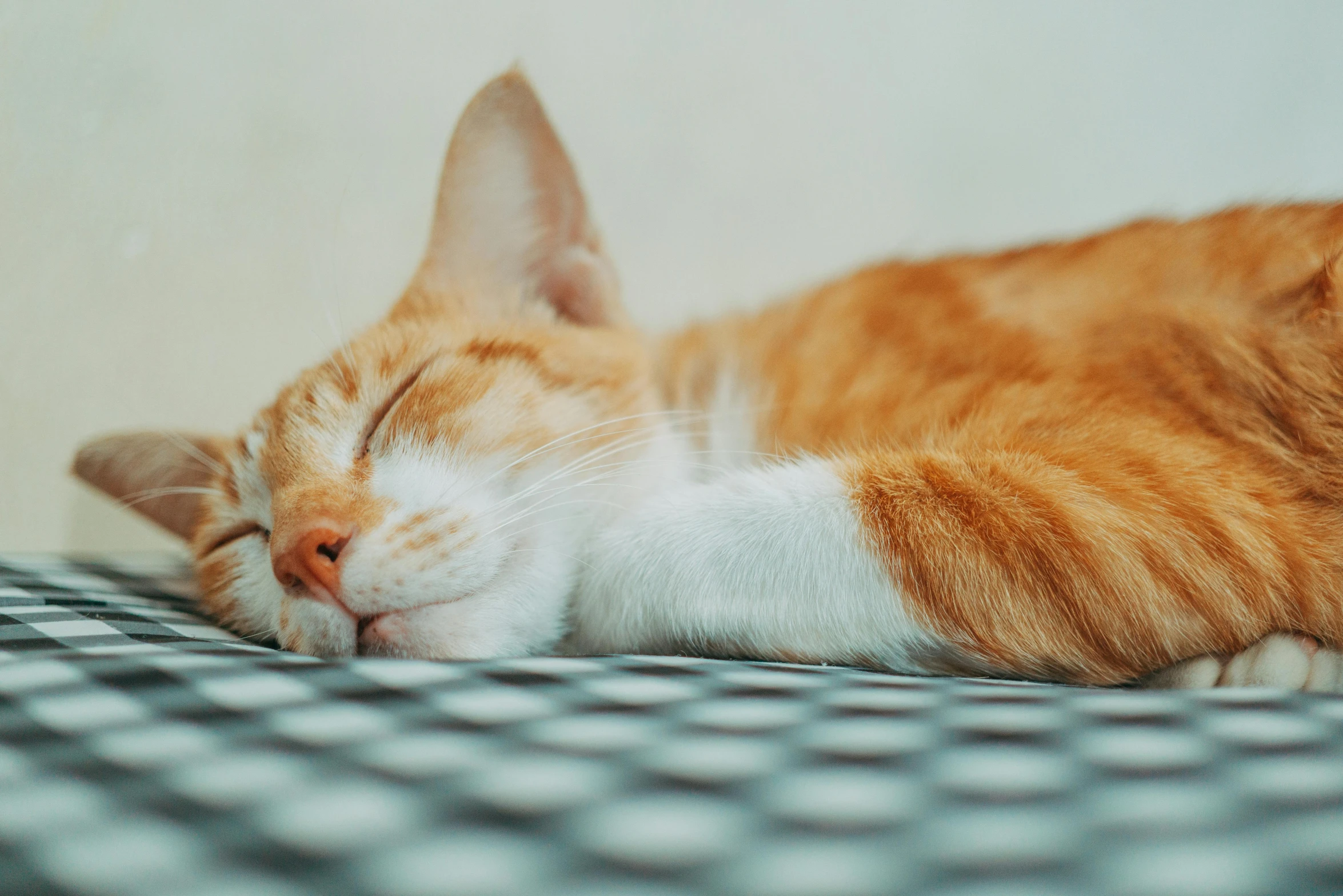 an orange and white cat sleeping on top of a checkered table
