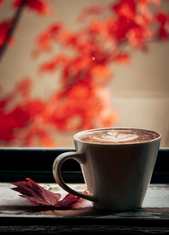 a cup of  chocolate sitting on top of a table next to an autumn leaf