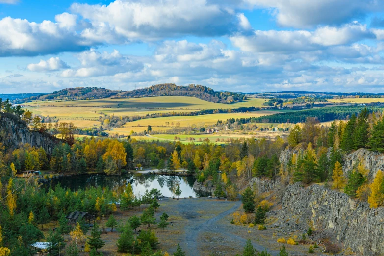 this is an overview of an area with many different trees