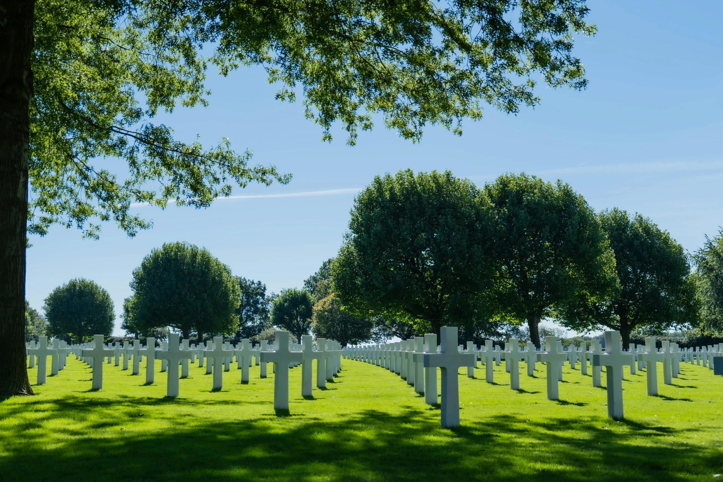 a very small cemetery in a grassy field