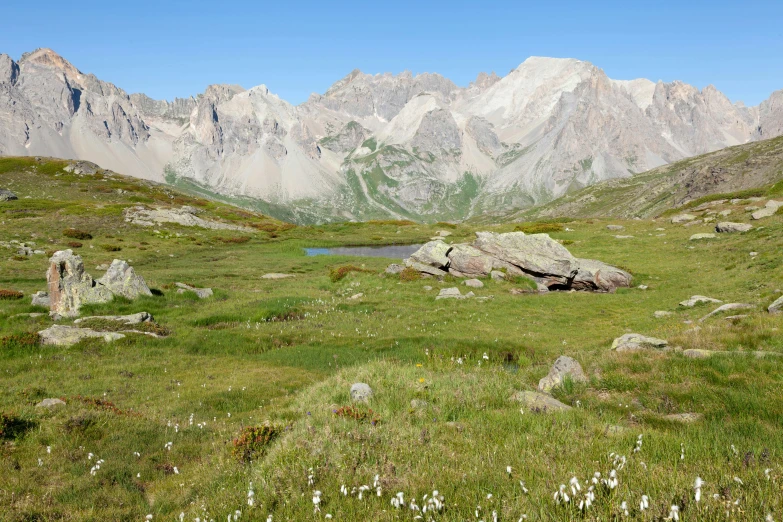 a view of mountain peaks that are in the grass