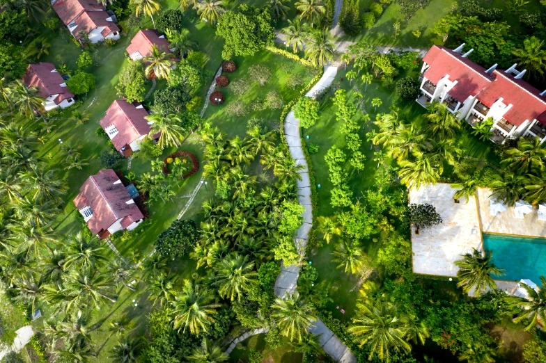 aerial view of a house, trees, pool, and landscaping