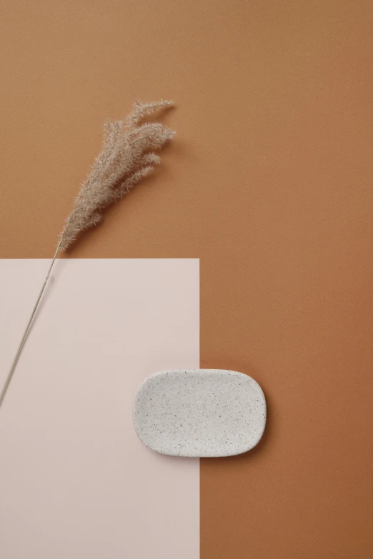 a picture of an eyeglass case and a dry brown plant on a table