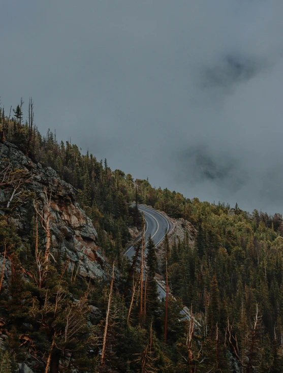 there is a winding road near the trees