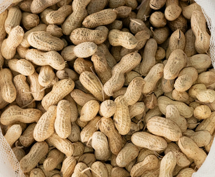 a bowl of peanuts sitting in the middle of it's shell