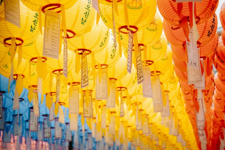 paper lanterns hanging from the ceiling on display