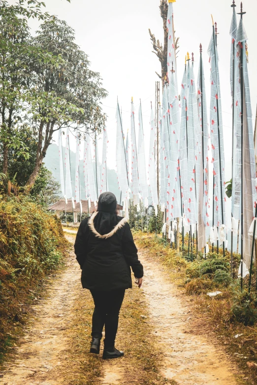 a person wearing a parka walking on a path covered in flags