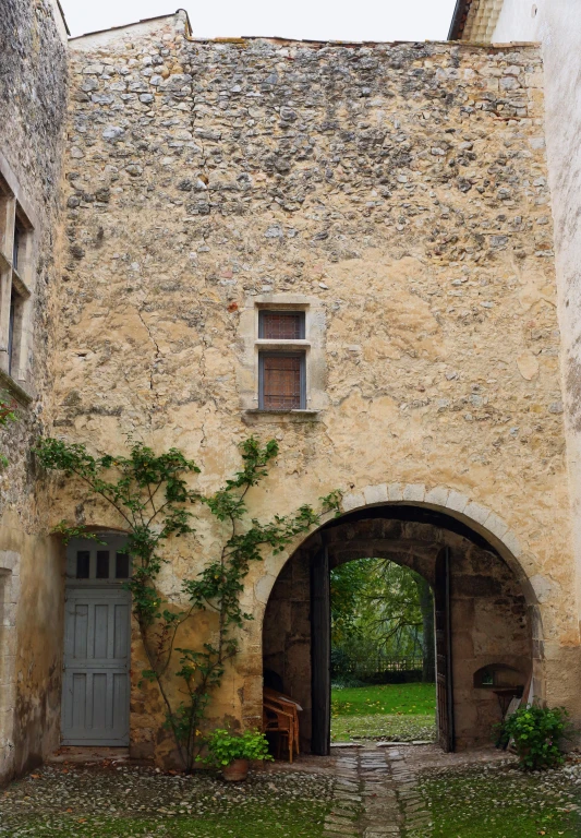 doorways between two buildings with green vines growing all around