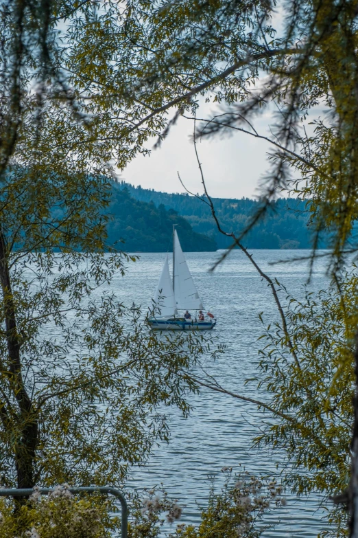 a sail boat sailing on top of a lake