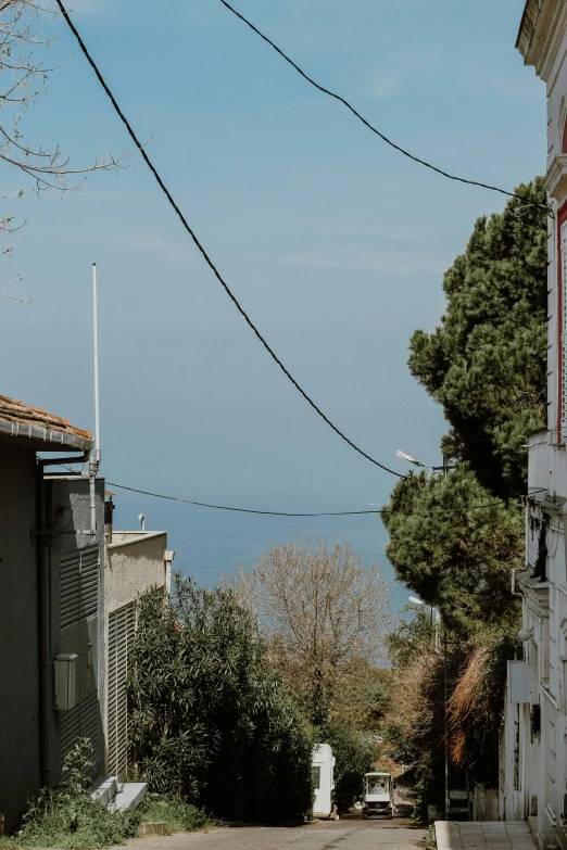 an empty street with houses and trees on the side