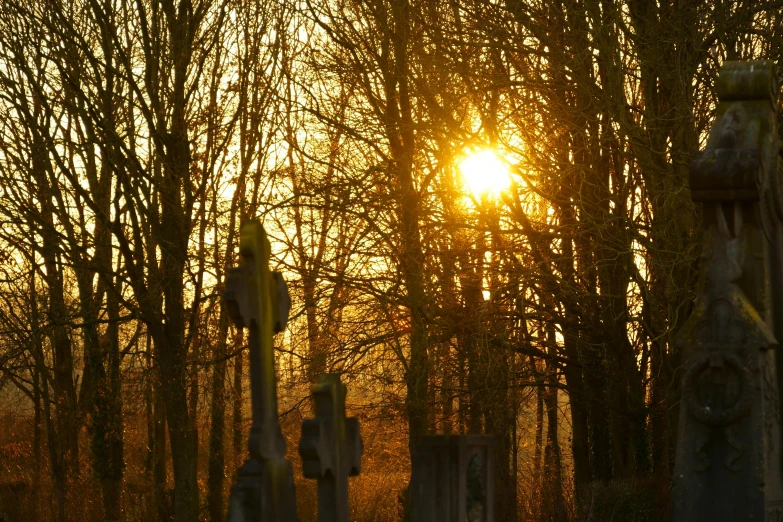 a cemetery with sun shining in the background