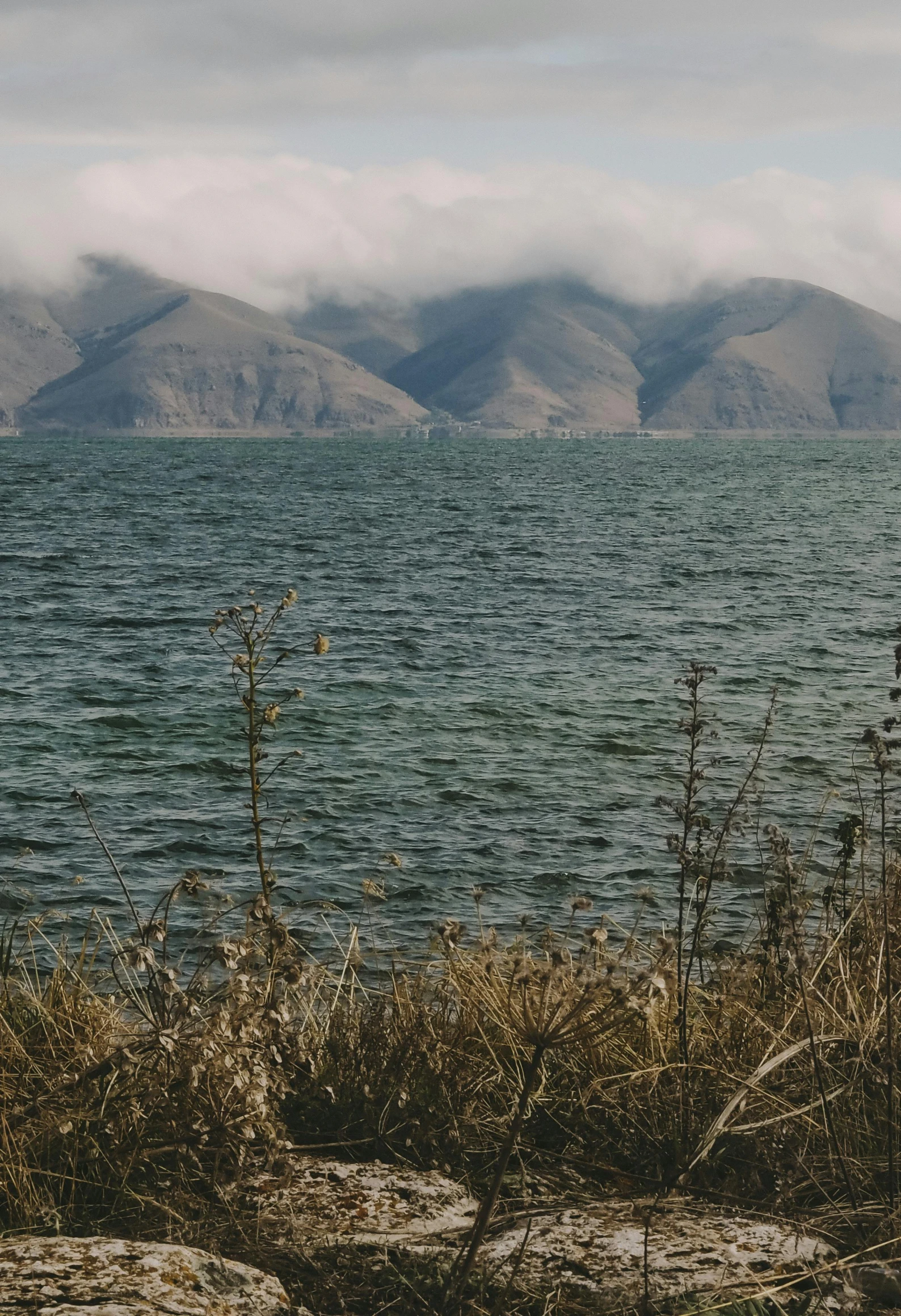 two large lake sitting on top of a grass covered field