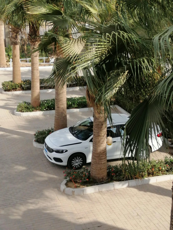 two cars parked on the sidewalk next to trees