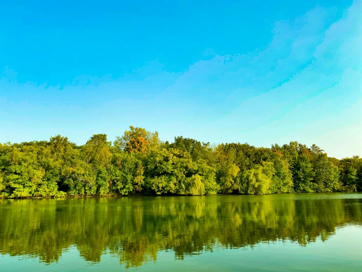 the calm waters in the river are clear