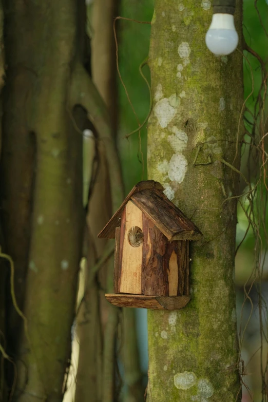 a birdhouse hanging on the side of a tree