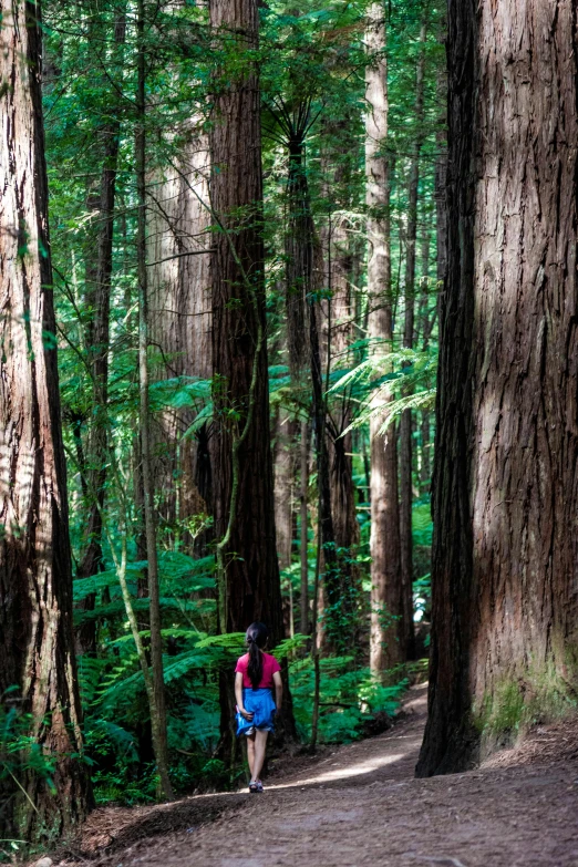 a woman in a backpack walking down a trail through a lush green forest