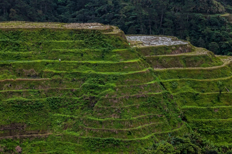 a large grassy cliff sits on top of a hill