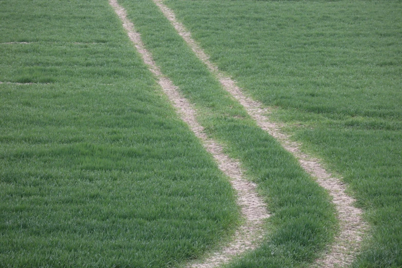 a couple of lines in the middle of a grassy field