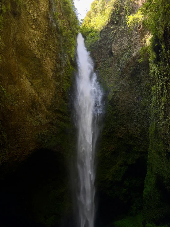 there is a very tall waterfall in the middle of the woods