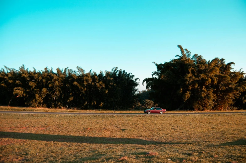 a man with his car on the road next to trees