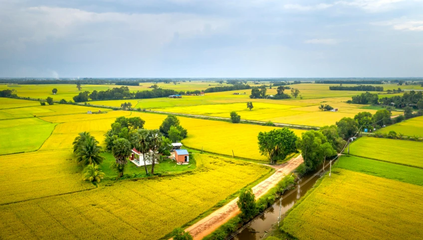 a river flowing into a lush green field