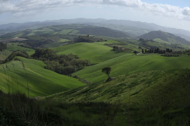 rolling hills with a lone tree and clouds above them