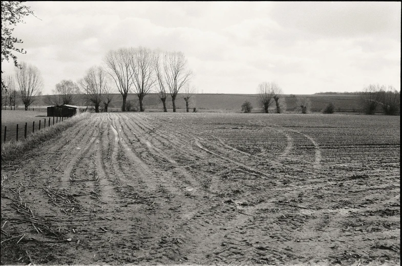 a field with a lone horse walking by in the distance